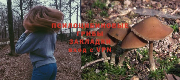 амфетамин Алексеевка