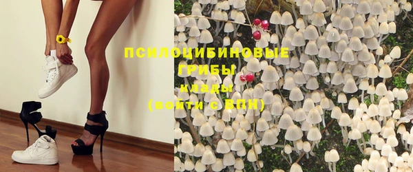 эйфоретик Арсеньев