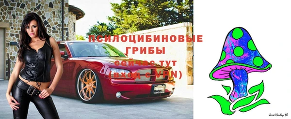амфетамин Алексеевка
