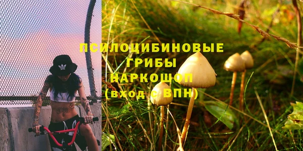 эйфоретик Арсеньев