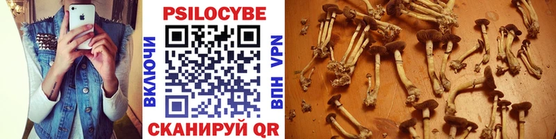 Псилоцибиновые грибы прущие грибы Барыш